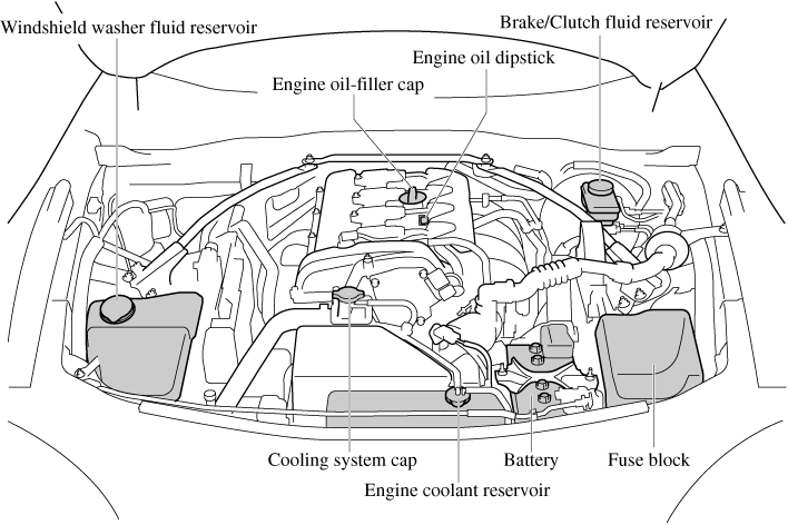 Engine Compartment Overview