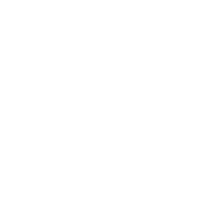 White car icon.