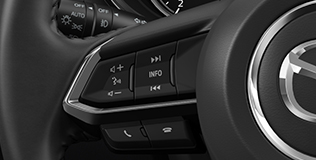 2020 CX-9 Owner's Manual | Mazda Canada