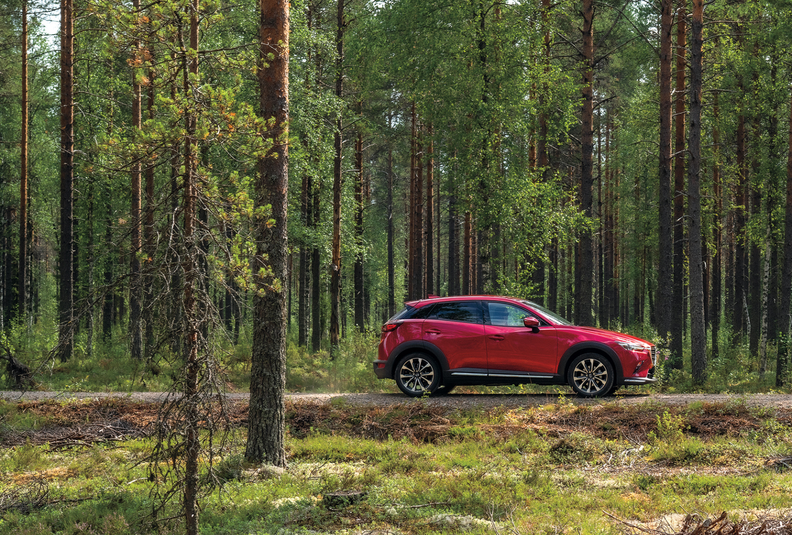 Red Mazda CX-5 in profile on forest road with tall trees in background.