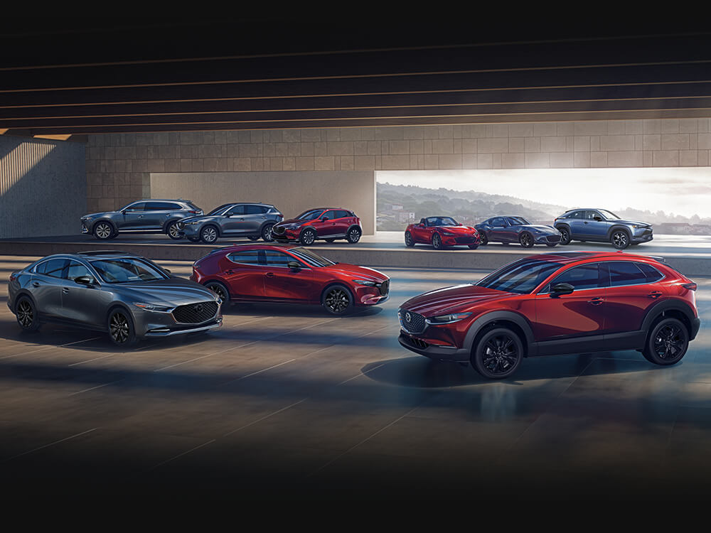Toute la gamme de véhicules Mazda – quatre en gris et quatre en rouge – garés avec élégance dans la salle d’exposition, avec une lumière qui traverse l’entrée arrière ouverte