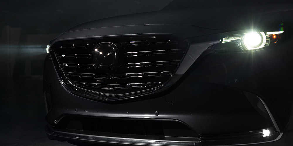 CX-9 grille inserts