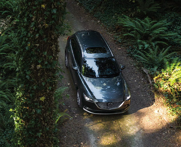 Overhead view of Mazda CX-9 with moonroof driving dirt road flanked by large ferns.
