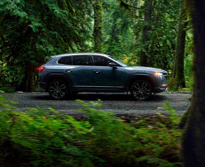 Polymetal Grey CX-50 with headlights on passing by on road in dense forest.