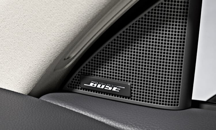 Close up of Bose logo badge on door trim speaker.
