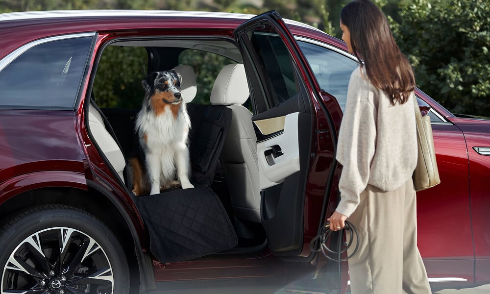 A side profile of a woman standing outside the CX-90 holding a leash with a dog sitting in the back seat with the passenger door open.